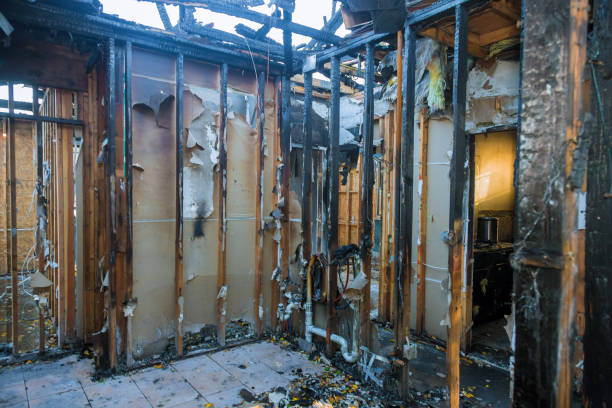 Professional Fire Damage Removal technician working in Luck, WI